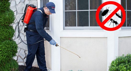 Karayazı Fare İlaçlama böcek ilaçlama ve haşere kontrolü — ilaclama-tr.com